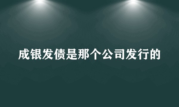成银发债是那个公司发行的
