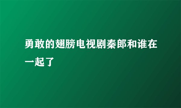 勇敢的翅膀电视剧秦郎和谁在一起了