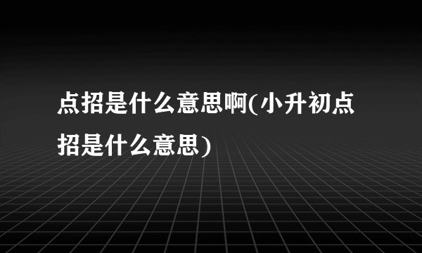 点招是什么意思啊(小升初点招是什么意思)