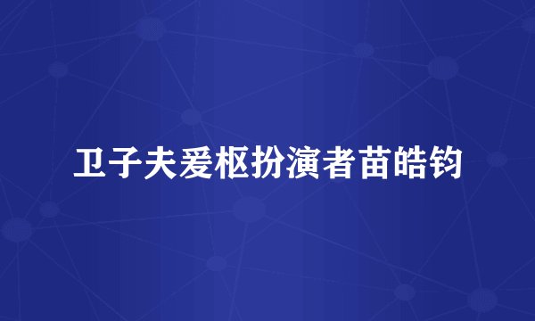 卫子夫爰枢扮演者苗皓钧