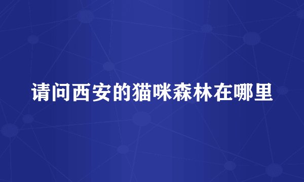 请问西安的猫咪森林在哪里