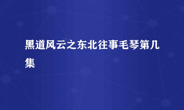 黑道风云之东北往事毛琴第几集