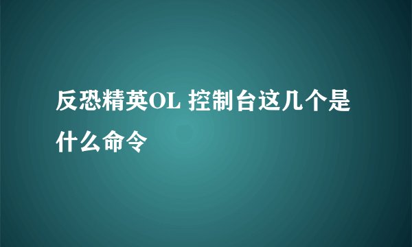 反恐精英OL 控制台这几个是什么命令