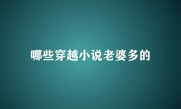 哪些穿越小说老婆多的