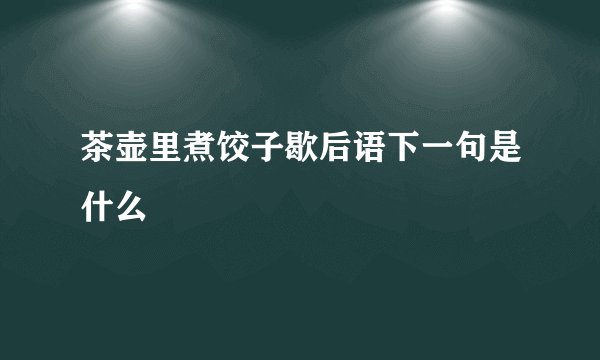 茶壶里煮饺子歇后语下一句是什么