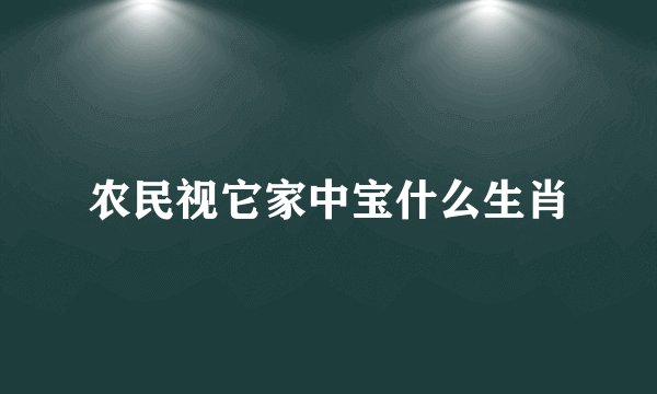 农民视它家中宝什么生肖