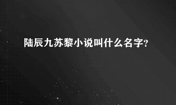 陆辰九苏黎小说叫什么名字？