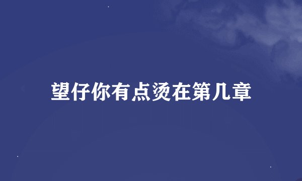 望仔你有点烫在第几章