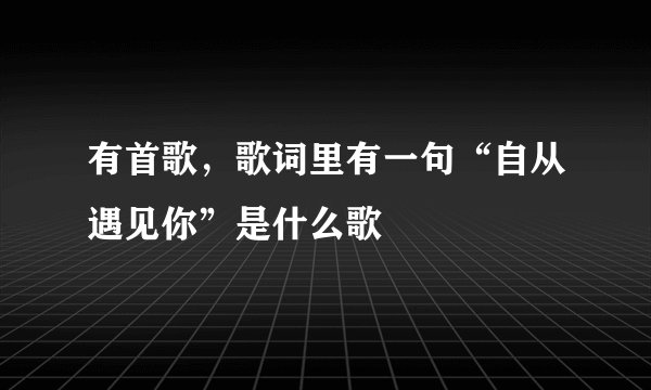有首歌，歌词里有一句“自从遇见你”是什么歌