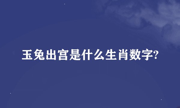 玉兔出宫是什么生肖数字?