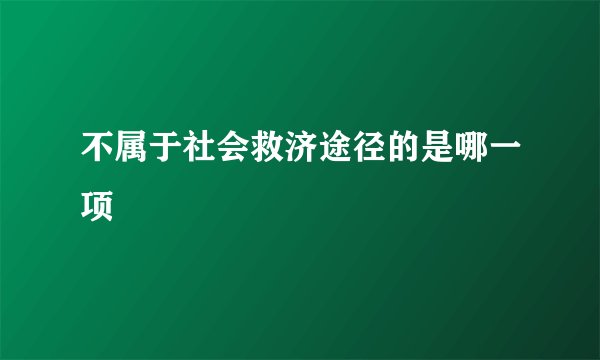 不属于社会救济途径的是哪一项