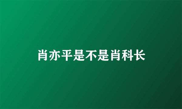 肖亦平是不是肖科长