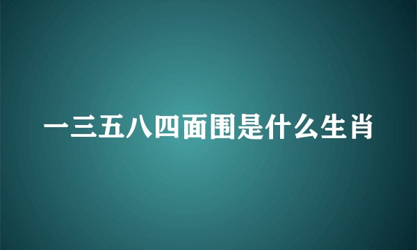 一三五八四面围是什么生肖