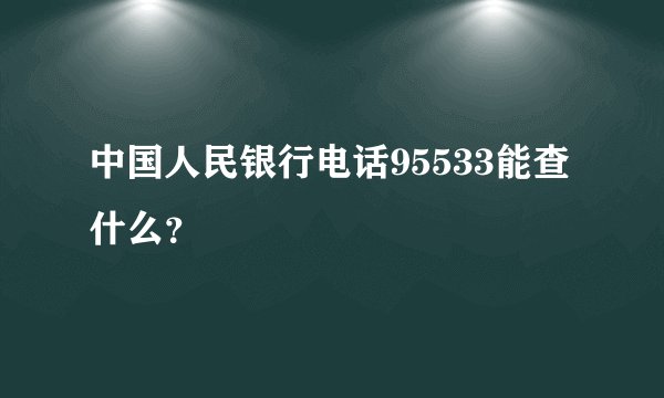 中国人民银行电话95533能查什么？