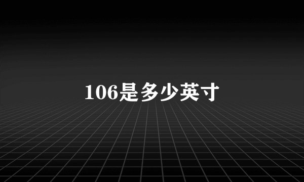 106是多少英寸