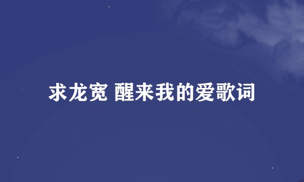 求龙宽 醒来我的爱歌词