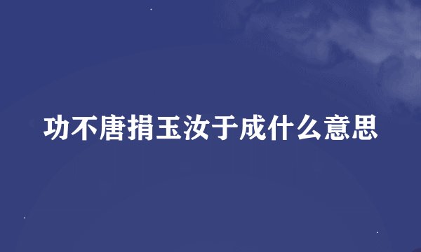 功不唐捐玉汝于成什么意思