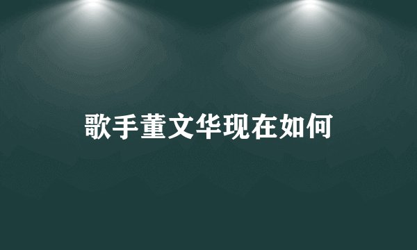 歌手董文华现在如何
