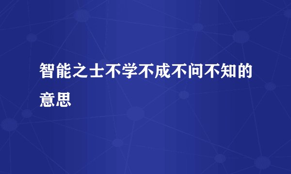 智能之士不学不成不问不知的意思