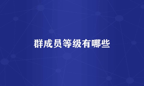 群成员等级有哪些