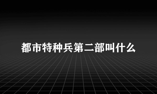 都市特种兵第二部叫什么