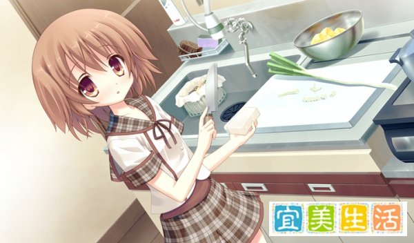 九十九之月/ツクモノツキ 随想