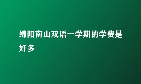 绵阳南山双语一学期的学费是好多