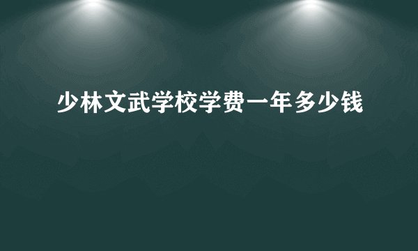 少林文武学校学费一年多少钱