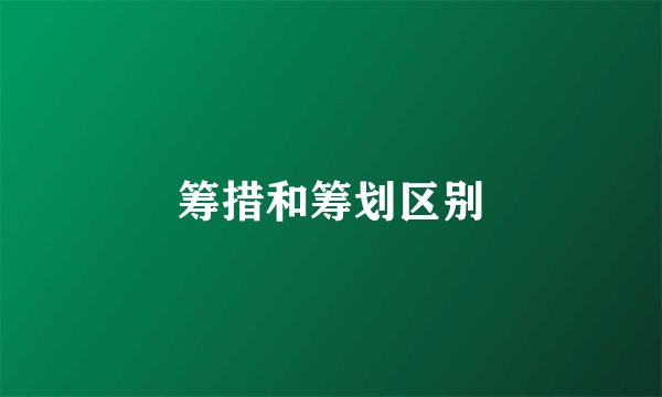 筹措和筹划区别