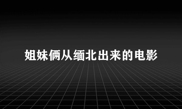 姐妹俩从缅北出来的电影