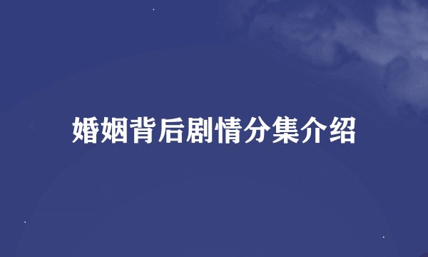 婚姻背后剧情分集介绍
