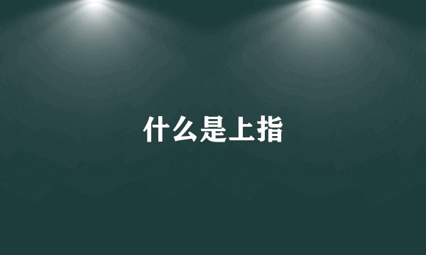 什么是上指