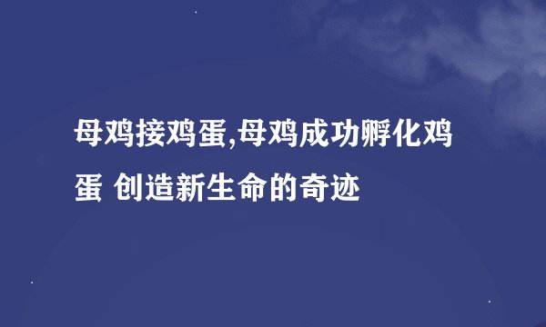 母鸡接鸡蛋,母鸡成功孵化鸡蛋 创造新生命的奇迹