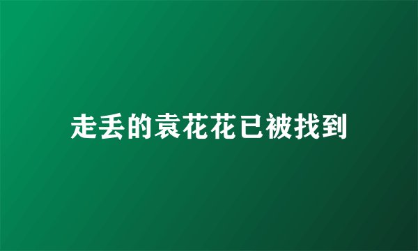 走丢的袁花花已被找到