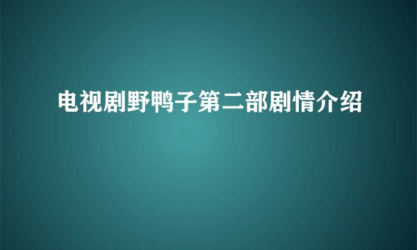 电视剧野鸭子第二部剧情介绍