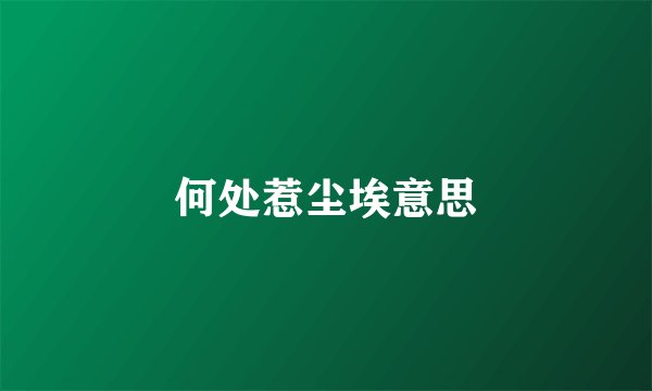 何处惹尘埃意思