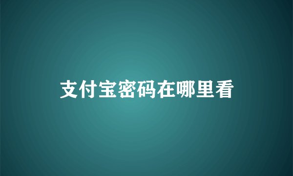 支付宝密码在哪里看