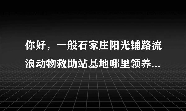 你好，一般石家庄阳光铺路流浪动物救助站基地哪里领养狗的话有什么手续吗？要花钱吗？