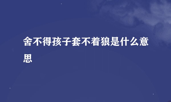 舍不得孩子套不着狼是什么意思