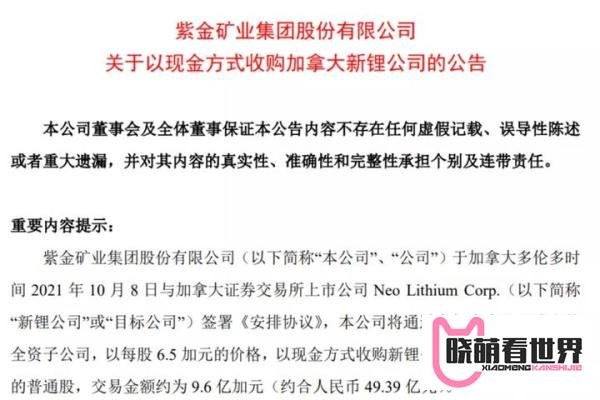 宁德时代、紫金矿业纷纷哄抢！锂矿会是下一个石油吗？