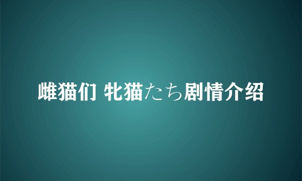 雌猫们 牝猫たち剧情介绍