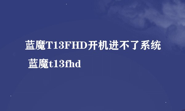 蓝魔T13FHD开机进不了系统 蓝魔t13fhd