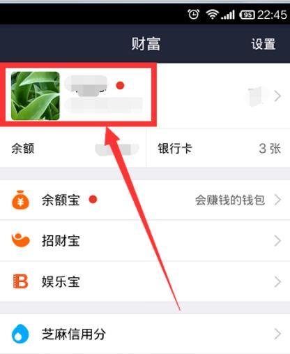 如何查看支付宝登陆记录怎么查看支付宝登陆记录