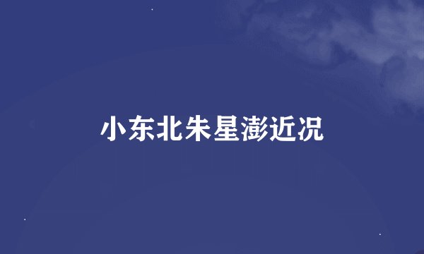 小东北朱星澎近况