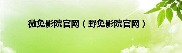 微兔影院官网野兔影院官网