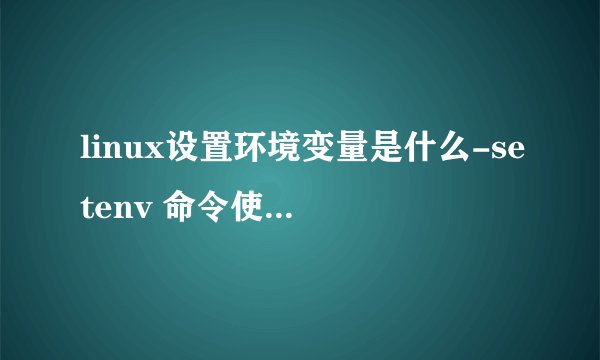 linux设置环境变量是什么-setenv 命令使用与实例