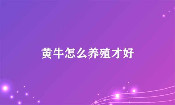黄牛怎么养殖才好