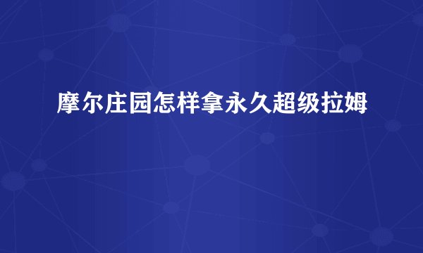 摩尔庄园怎样拿永久超级拉姆