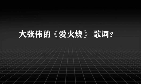 大张伟的《爱火烧》 歌词？