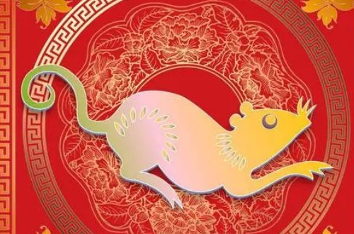 志同道合的意思是什么？